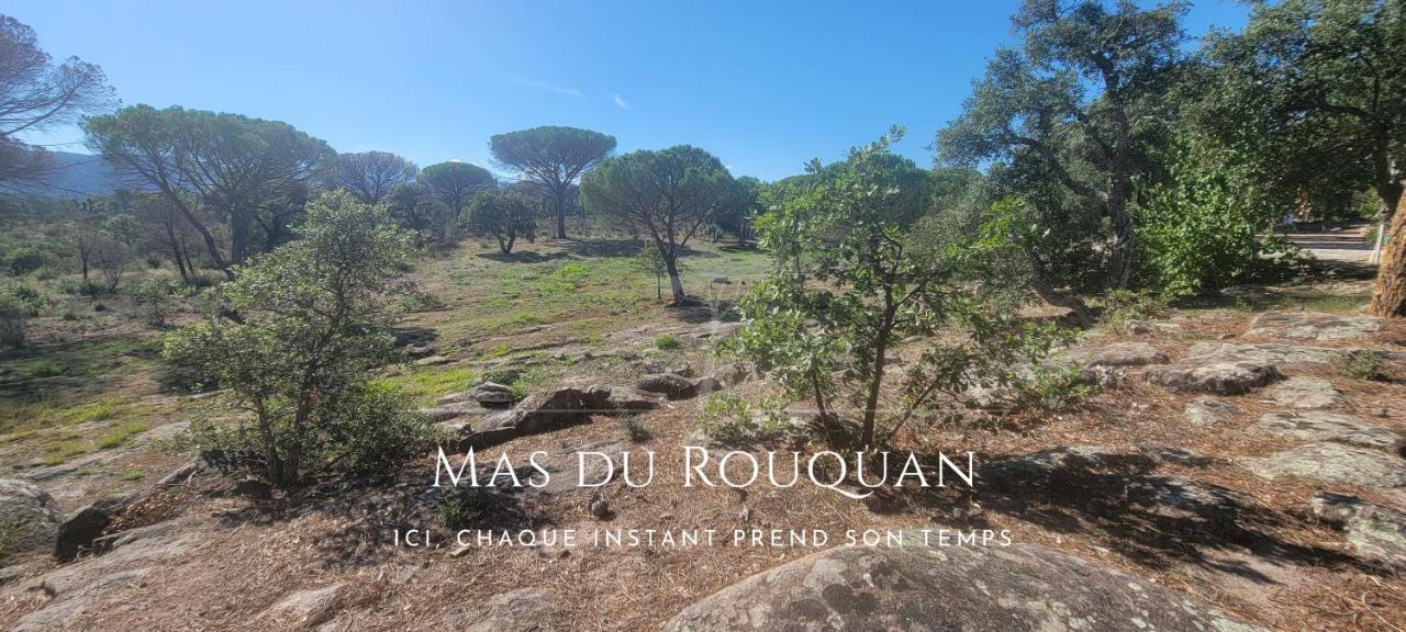 Le Mas Du Rouquan Vidauban Eksteriør billede