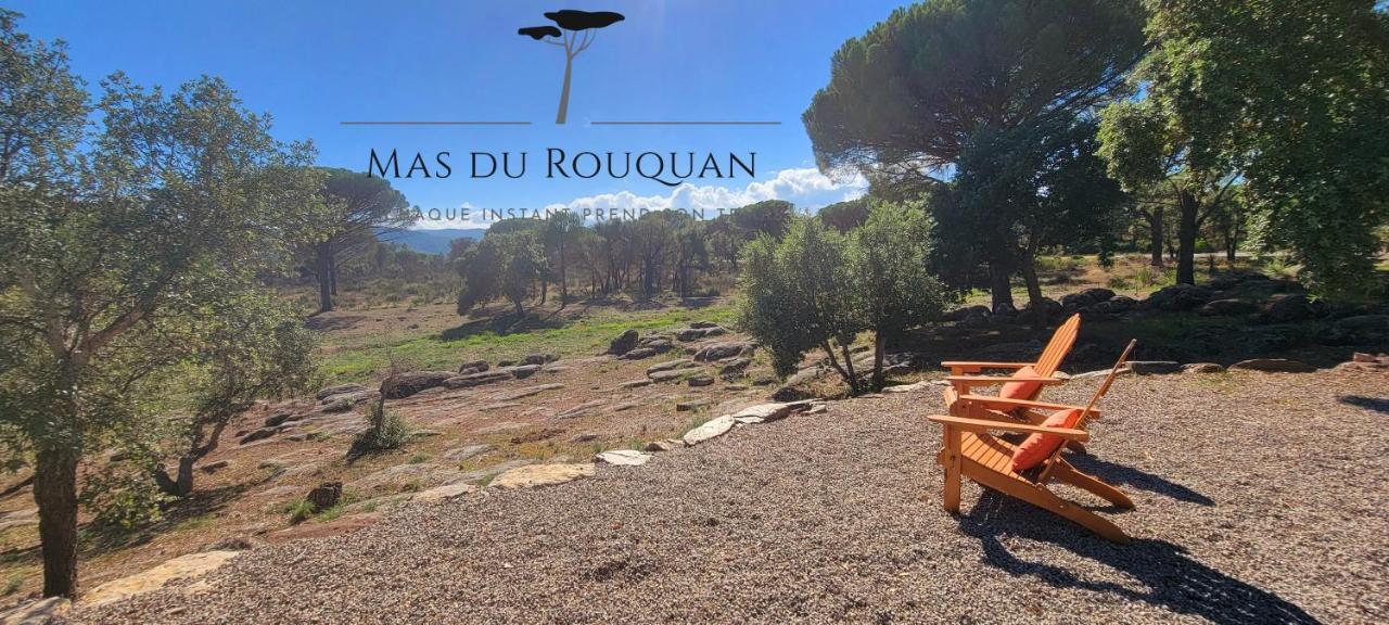 Le Mas Du Rouquan Vidauban Eksteriør billede
