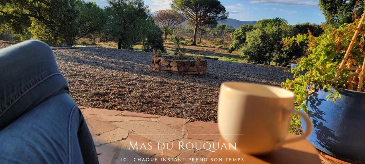 Le Mas Du Rouquan Vidauban Eksteriør billede